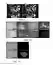 Fig. 09 - Antibodies and methods of use thereof