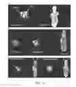 Fig. 17 - Antibodies and methods of use thereof