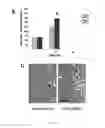 Fig. 06 - Compositions and methods for treating cancer