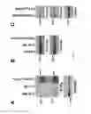 Fig. 13 - Compositions and methods for treating cancer