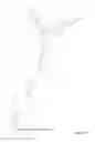 Fig. 09 - Aptamer modulators of complement protein C3 and biologically active proteolytic products thereof