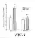 Fig. 04 - Use of creatine or creatine compounds for skin preservation