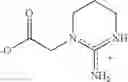 Fig. 15 - Use of creatine or creatine compounds for skin preservation