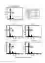 Fig. 08 - Composition for improving skin conditions using fetal mesenchymal stem cells from amniotic fluid
