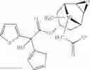 Fig. 22 - Soft anticholinergic zwitterions