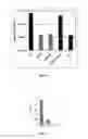 Fig. 05 - MULTI-VALENT ADJUVANT DISPLAY