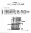 Fig. 02 - Collagen preparation and method of isolation