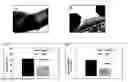 Fig. 01 - Biodegradable linkers for molecular therapies
