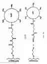 Fig. 06 - Biodegradable linkers for molecular therapies