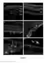 Fig. 03 - Widespread gene delivery to the retina using systemic administration of AAV vectors