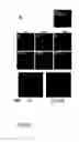 Fig. 06 - Adenovirus dodecahedron particles for delivery of pharmaceutical agents