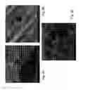 Fig. 06 - Tissue regeneration membrane
