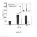 Fig. 02 - METHODS FOR IDENTIFYING, ISOLATING, AND UTILIZING ENDOCRINE PROGENITOR CELLS FROM ADULT HUMAN PANCREAS