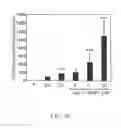 Fig. 06 - METHODS FOR IDENTIFYING, ISOLATING, AND UTILIZING ENDOCRINE PROGENITOR CELLS FROM ADULT HUMAN PANCREAS