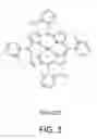 Fig. 02 - USE OF CATALYTIC ANTIOXIDANT TO PRESERVE STEM CELL PHENOTYPE AND CONTROL CELL DIFFERENTIATION