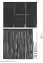 Fig. 09 - USE OF CATALYTIC ANTIOXIDANT TO PRESERVE STEM CELL PHENOTYPE AND CONTROL CELL DIFFERENTIATION