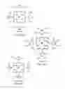 Fig. 14 - USE OF CATALYTIC ANTIOXIDANT TO PRESERVE STEM CELL PHENOTYPE AND CONTROL CELL DIFFERENTIATION