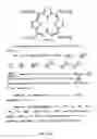 Fig. 16 - USE OF CATALYTIC ANTIOXIDANT TO PRESERVE STEM CELL PHENOTYPE AND CONTROL CELL DIFFERENTIATION