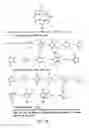 Fig. 19 - USE OF CATALYTIC ANTIOXIDANT TO PRESERVE STEM CELL PHENOTYPE AND CONTROL CELL DIFFERENTIATION