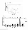 Fig. 04 - Compositions and methods for promoting beta cell maturity