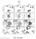 Fig. 20 - Methods and Compositions for Treatment of Muscular Dystrophy