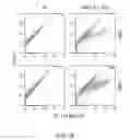 Fig. 26 - Methods and Compositions for Treatment of Muscular Dystrophy