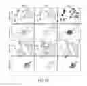 Fig. 30 - Methods and Compositions for Treatment of Muscular Dystrophy