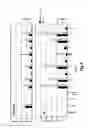 Fig. 07 - Method of identifying membrane Ig specific antibodies and use thereof for targeting immunoglobulin-producing precursor cells
