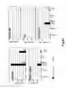 Fig. 08 - Method of identifying membrane Ig specific antibodies and use thereof for targeting immunoglobulin-producing precursor cells