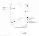 Fig. 08 - Antibody molecule for human GM-CSF receptor alpha