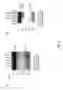Fig. 04 - CRIPTO ANTAGONISM OF ACTIVIN AND TGF-B SIGNALING