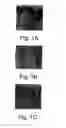 Fig. 02 - T CELL INHIBITORY RECEPTOR COMPOSITIONS AND USES THEREOF