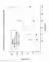 Fig. 30 - Methods of treating with anti-factor D antibodies