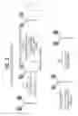 Fig. 07 - MOLECULAR COMPLEXES WHICH MODIFY IMMUNE RESPONSES