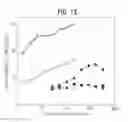 Fig. 19 - MOLECULAR COMPLEXES WHICH MODIFY IMMUNE RESPONSES