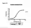 Fig. 57 - Methods of preventing inflammation and treating pain using anti-NGF compositions