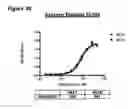 Fig. 60 - Methods of preventing inflammation and treating pain using anti-NGF compositions