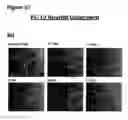 Fig. 79 - Methods of preventing inflammation and treating pain using anti-NGF compositions