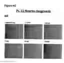 Fig. 84 - Methods of preventing inflammation and treating pain using anti-NGF compositions