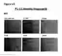 Fig. 85 - Methods of preventing inflammation and treating pain using anti-NGF compositions
