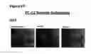 Fig. 91 - Methods of preventing inflammation and treating pain using anti-NGF compositions