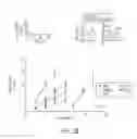 Fig. 07 - Method of treating hypertrophic cardiomyopathy