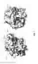 Fig. 02 - METHODS AND COMPOSITIONS FOR THE TREATMENT OF CANCERS AND PATHOGENIC INFECTIONS