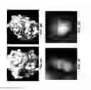 Fig. 05 - METHODS AND COMPOSITIONS FOR THE TREATMENT OF CANCERS AND PATHOGENIC INFECTIONS