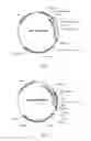 Fig. 02 - Fully human antibodies against human 4-1BB