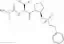Fig. 191 - IAP BIR DOMAIN BINDING COMPOUNDS