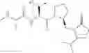 Fig. 299 - IAP BIR DOMAIN BINDING COMPOUNDS