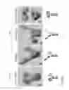 Fig. 03 - METHODS OF PURIFYING SMALL MODULAR IMMUNOPHARMACEUTICAL PROTEINS