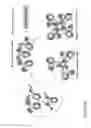 Fig. 05 - METHODS OF PURIFYING SMALL MODULAR IMMUNOPHARMACEUTICAL PROTEINS