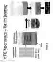 Fig. 09 - METHODS OF PURIFYING SMALL MODULAR IMMUNOPHARMACEUTICAL PROTEINS